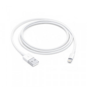 Apple Lightning to USB Cable 1m